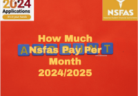 How Much Nsfas Pay Per Month