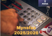 Mynsfas Account 202