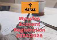 Mynsfas Account 2024
