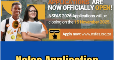 Nsfas Application Status 2026/2027