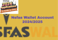 Nsfas Wallet Account 2024