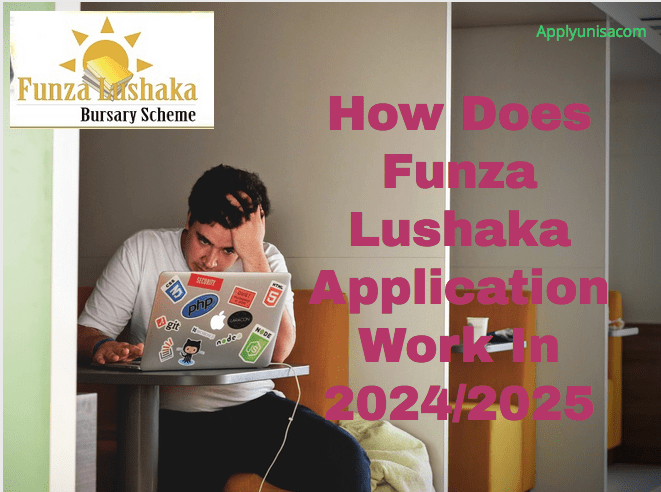 How Does Funza Lushaka Work