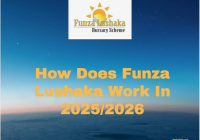Funza Lushaka Application Work In 2025
