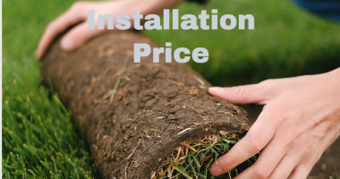 Artificial Grass Installation Price