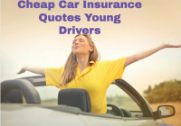 Car Insurance Quotes Young Drivers