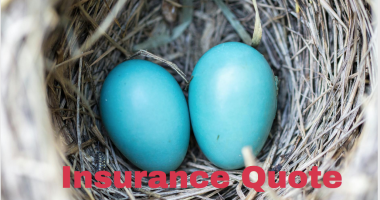 Insurance Quote State Farm