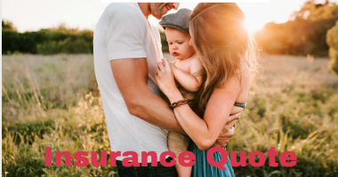 Insurance Quote Travelers