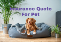 Insurance Quote For Pet