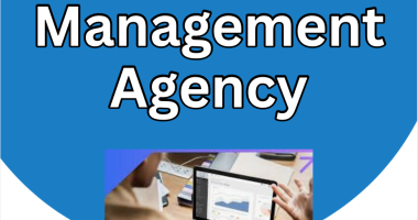 Google Ad Management Agency