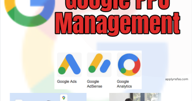 Google PPC Management