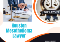 Houston Mesothelioma Lawyer