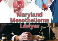 Maryland Mesothelioma Lawyer
