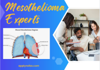Mesothelioma Experts