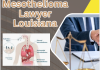 Mesothelioma Lawyer Louisiana